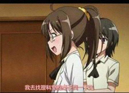 《叛逆的鲁鲁修》桌角女个人资料